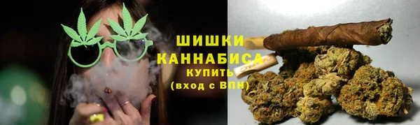 гидра Арсеньев