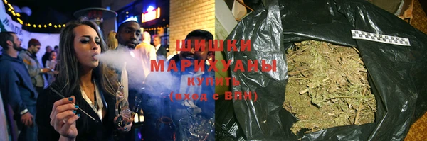 гидра Арсеньев