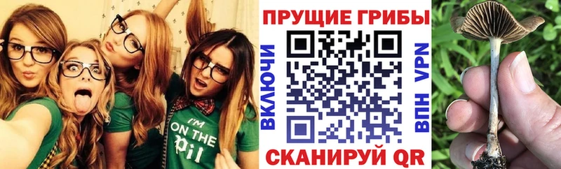 Галлюциногенные грибы Magic Shrooms  цены наркотик  Белорецк 